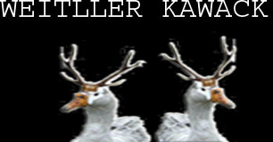 WEITTLER KAWACK live!!