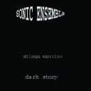 Sonic Ensemble - Dark Story